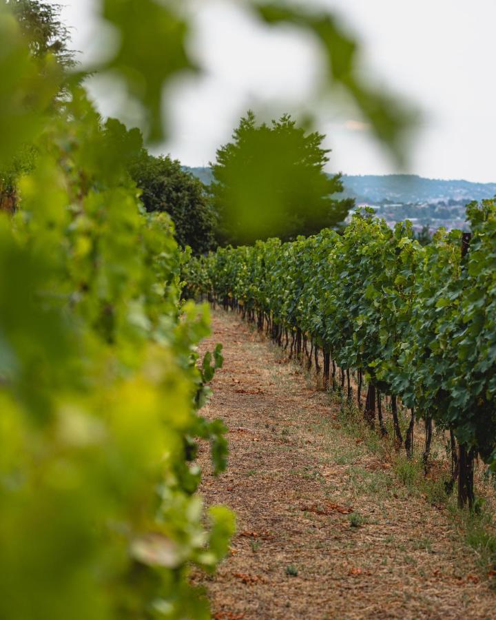 Tenuta Ronco Regio San Fermo della Battaglia Dış mekan fotoğraf